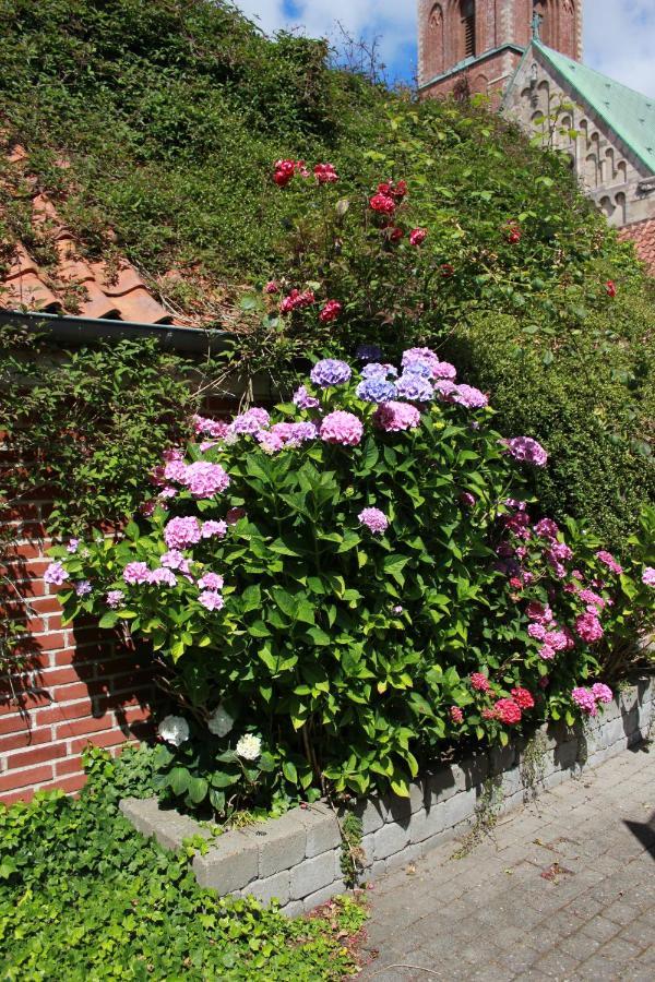 Ribe Ferielejlighed Esterno foto